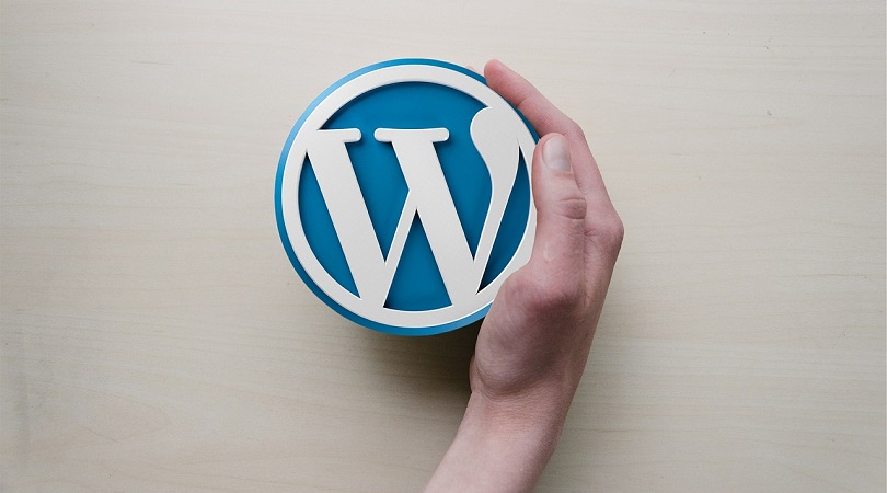 WordPress Website erstellen: Das gilt es zu beachten!